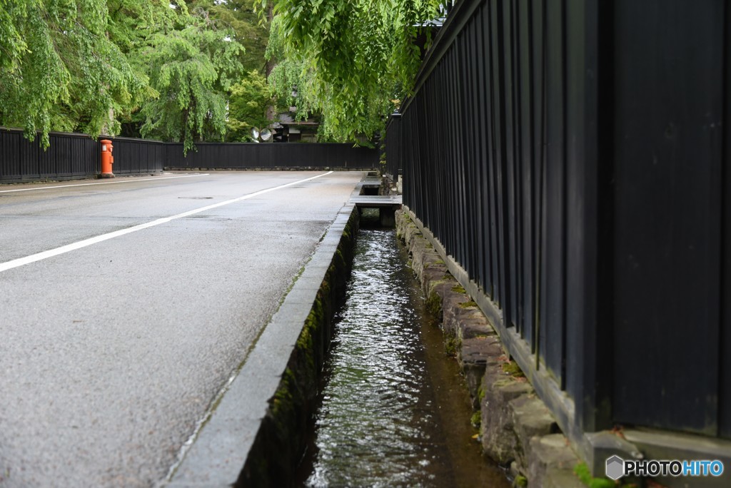 路地の角に・・！