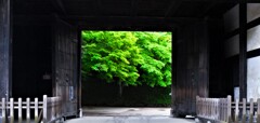 ～通り雨～