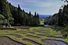 秋の里山