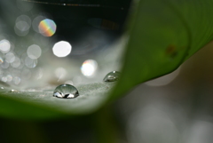 雨上がり