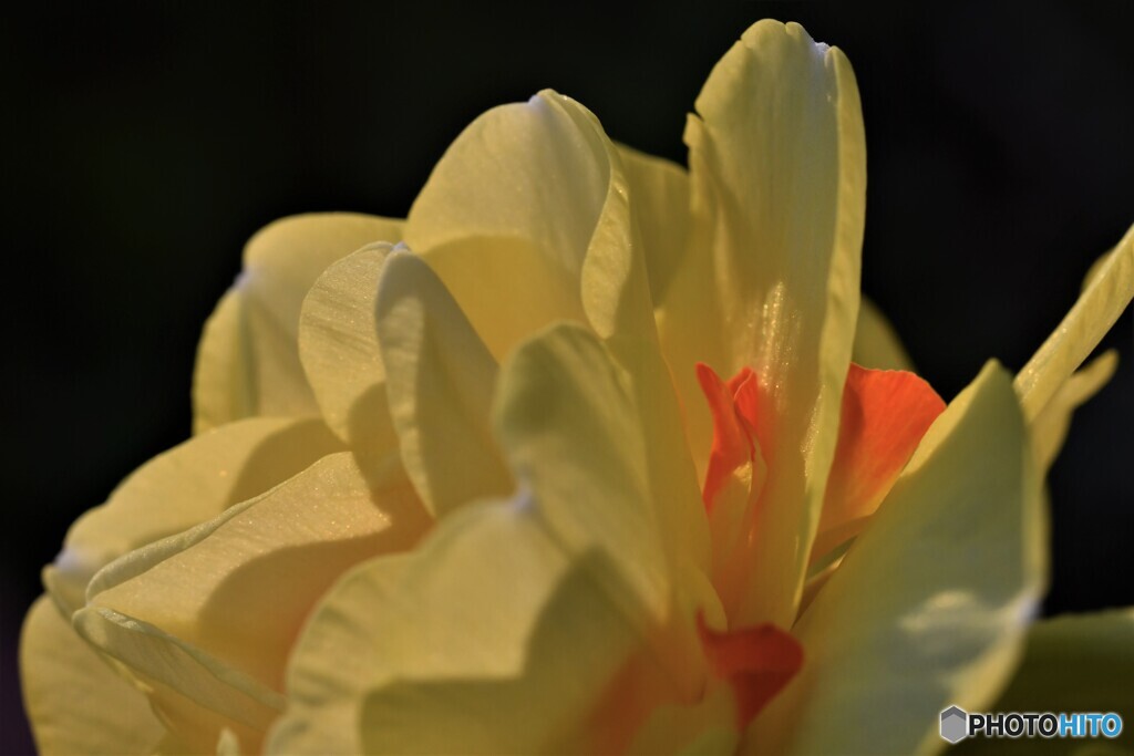 夕暮れ時は淋しそう・・