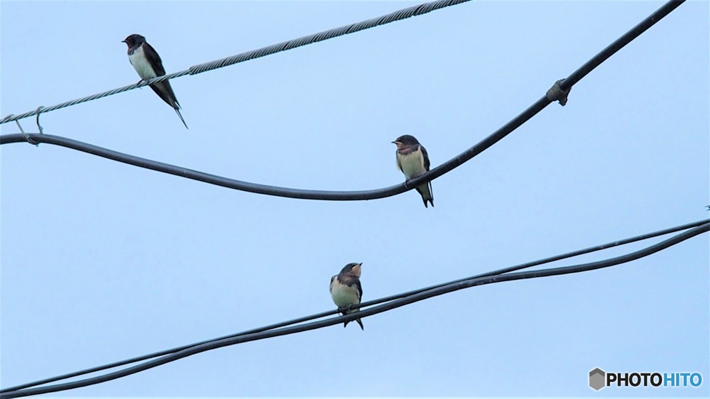 だいぶ秋めいてきたよね・・・・？