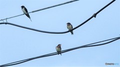 だいぶ秋めいてきたよね・・・・？