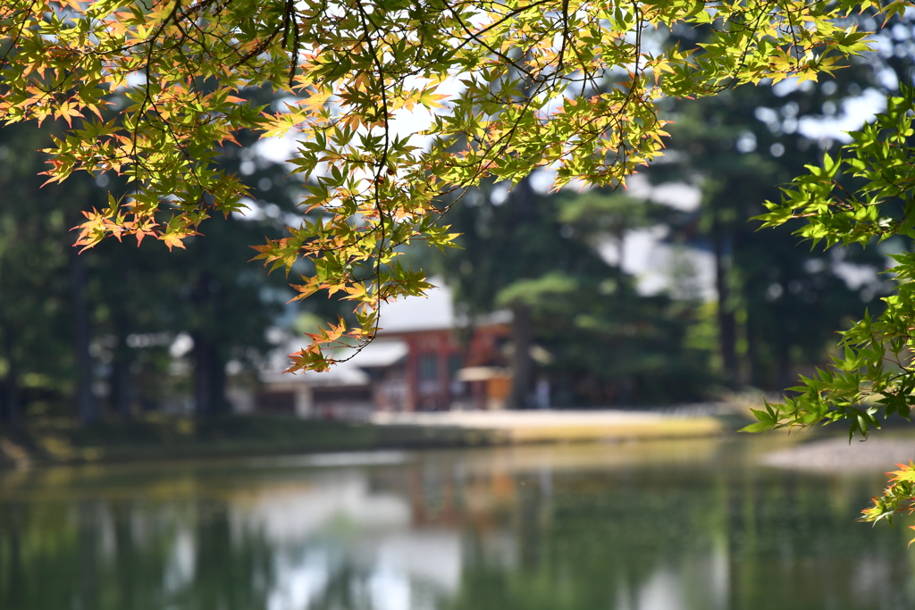 秋の気配・・