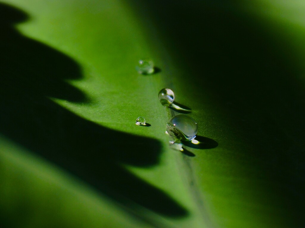 光の隙間