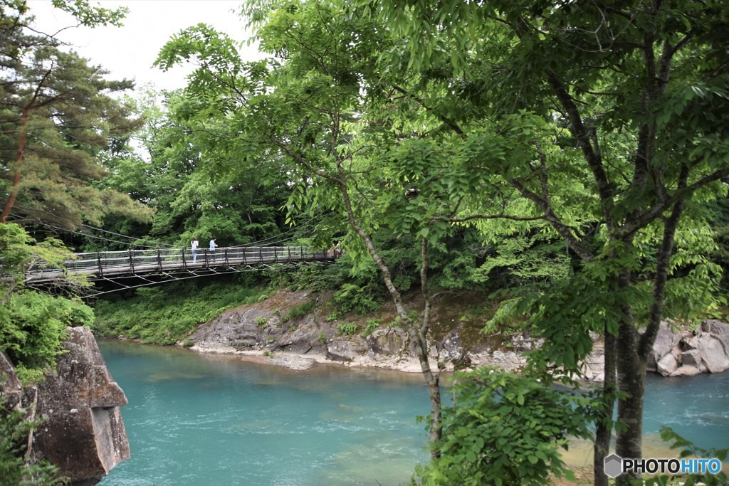 揺れる想い（初夏）