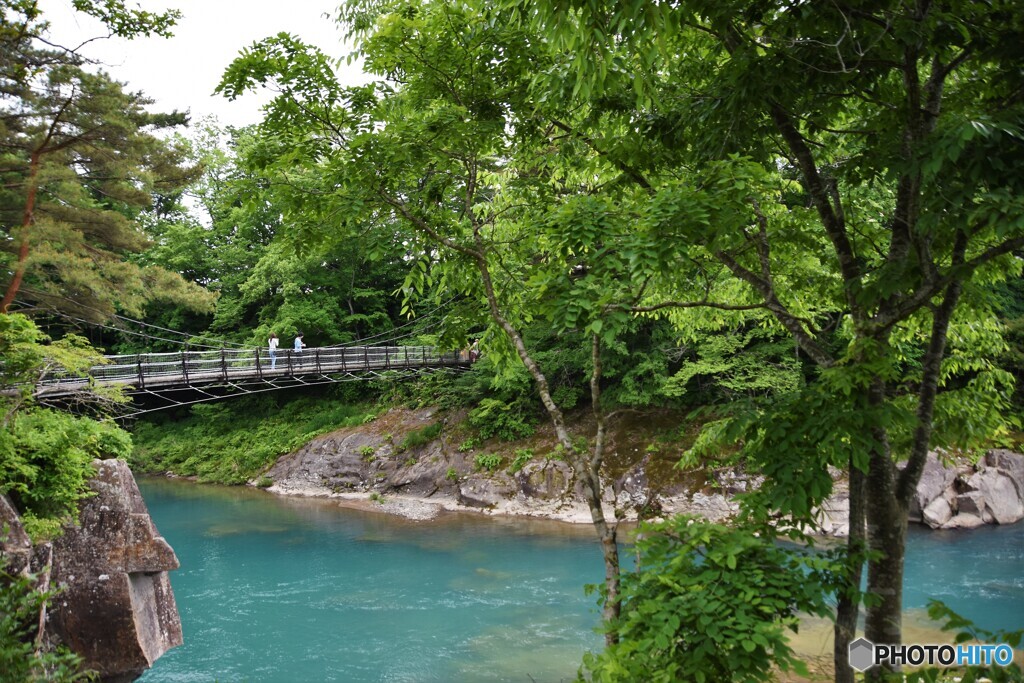 揺れる想い（初夏）・・