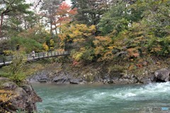 揺れる想い（秋）