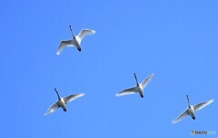 また、こんど・・！