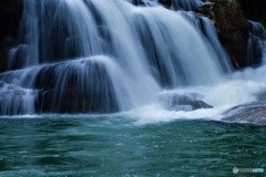 もうすぐ春ですね！