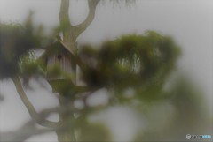 夢のマイホーム（入居者募集中）