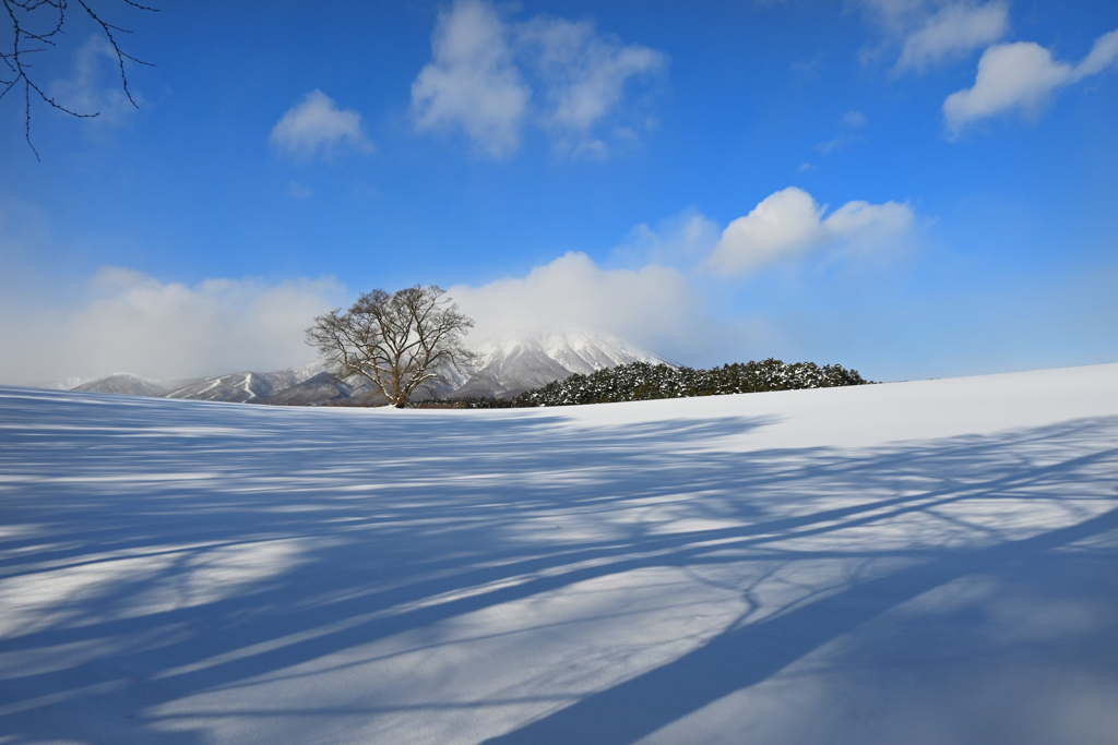 春よこい・・♪