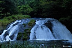 釜淵の滝