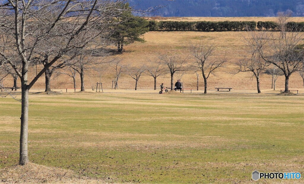 ひだまり・・！