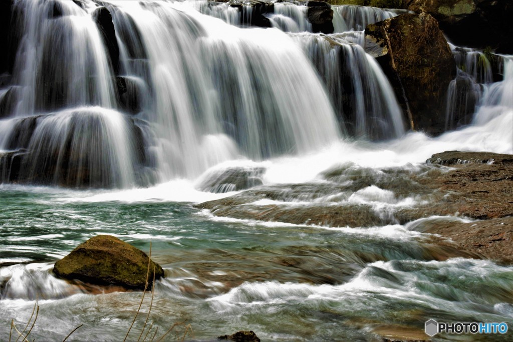 春が一気にやって来た・・！