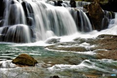春が一気にやって来た・・! 春が一気にやって来た・・!