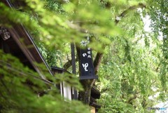 おもてなし・・