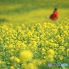 黄色の空間・・