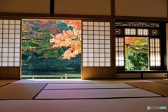 思いっきり秋・・