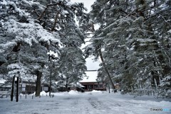 義経も見た風景