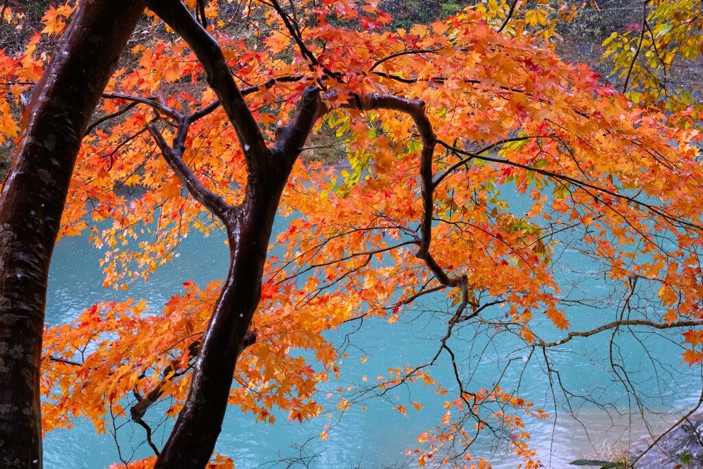 ～みぞれ雨の日に～