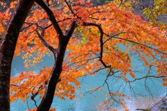 ～みぞれ雨の日に～