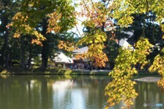 秋色の候・・ 秋色の候・・