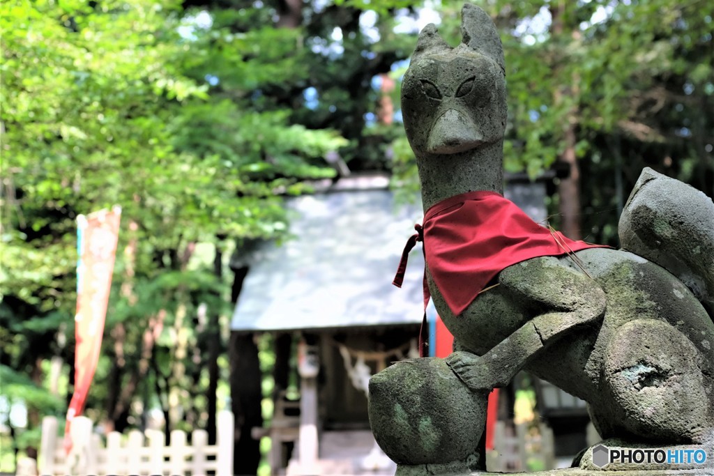 ポーズ