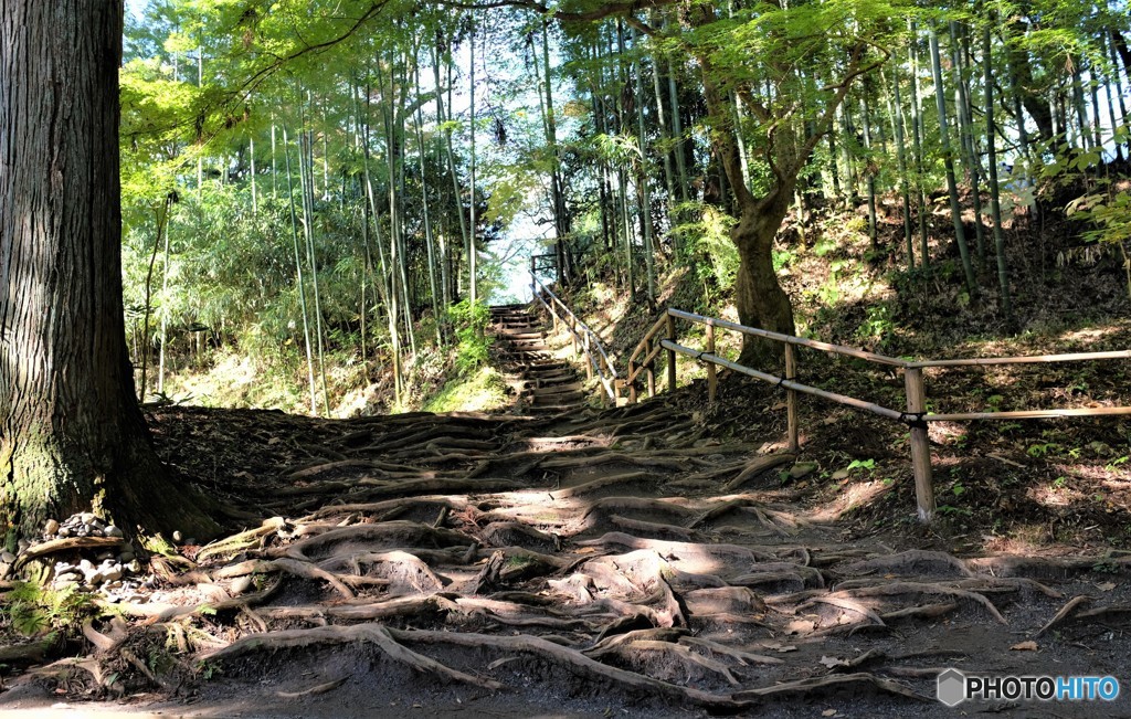 どうぞの「路」・・！