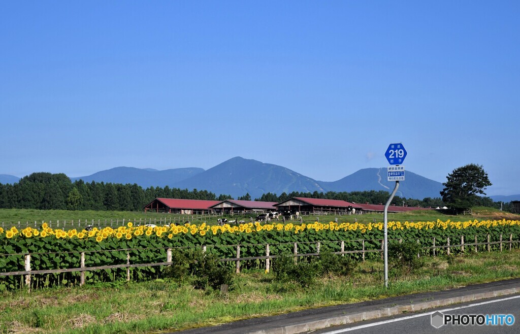 旅・・ 思い出