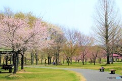 それぞれの時間Ⅱ・・