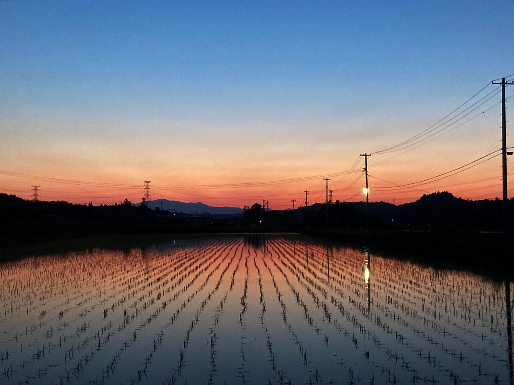 夕暮れ