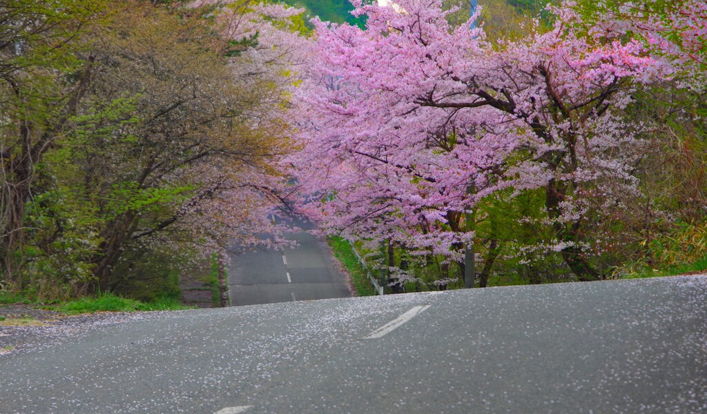 いつか来た道～