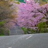 いつか来た道～