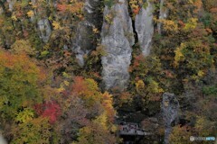 見上げる人々・・