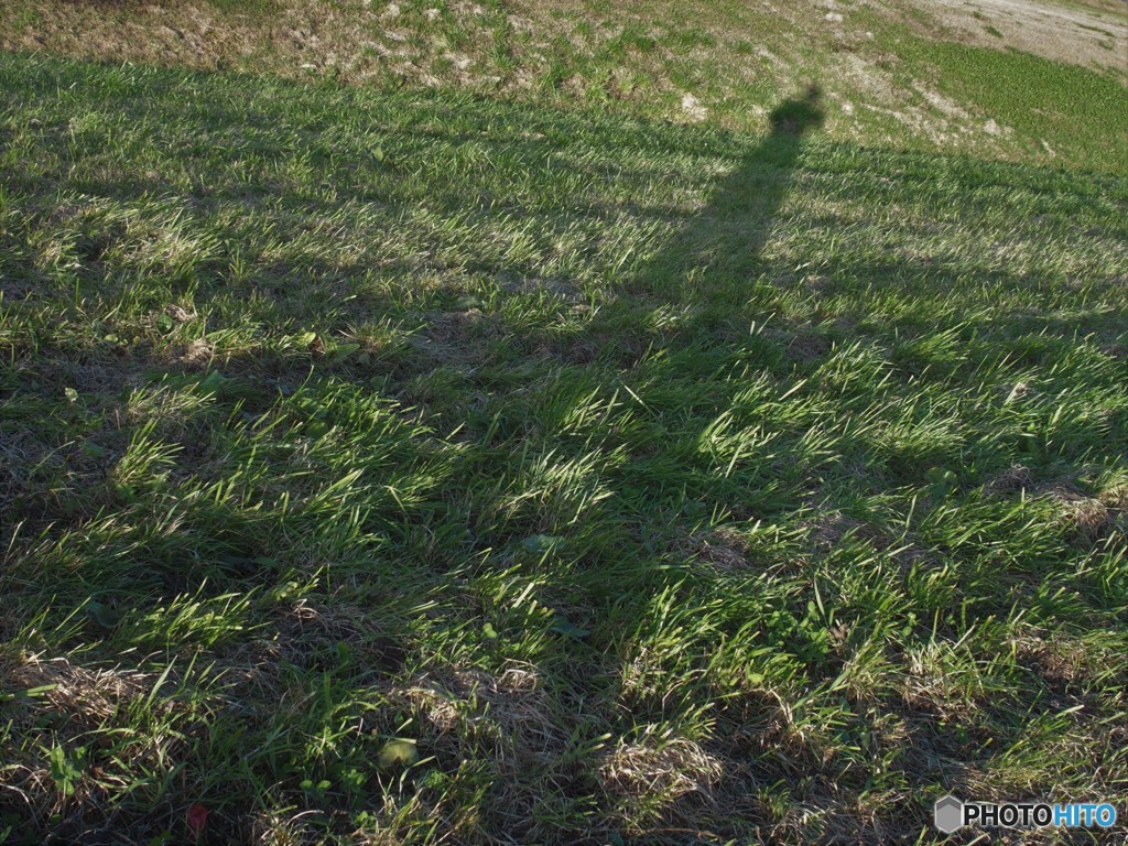 ただの足長おじさん