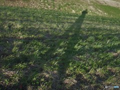 ただの足長おじさん