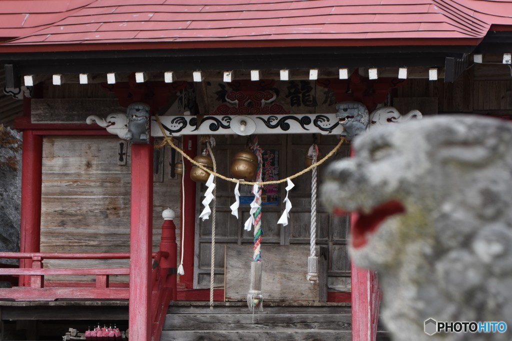 リアル過ぎる狛犬