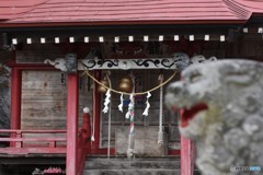 リアル過ぎる狛犬