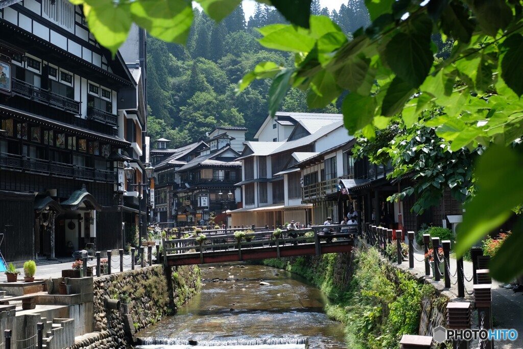 いま、お茶してます・・