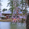毛越寺（平泉）
