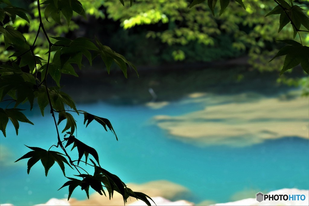 夏の気配