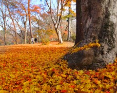 爽やかな風に包まれて～