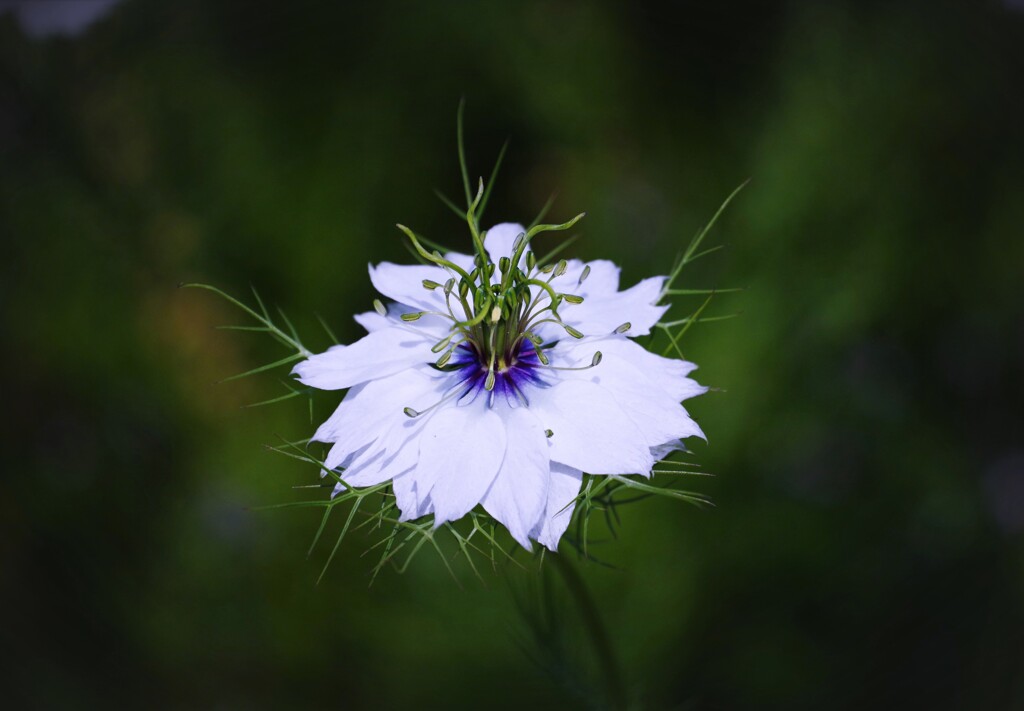 季節はめぐり・・