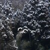 雪景色がお似合い・・