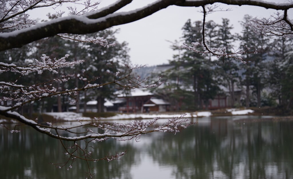 春は名のみの・・