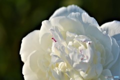 口紅が濃すぎたかしら・・