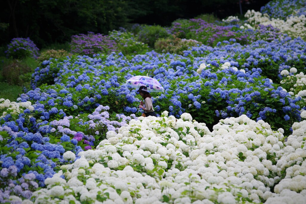 とうとう降り出して・・☂　