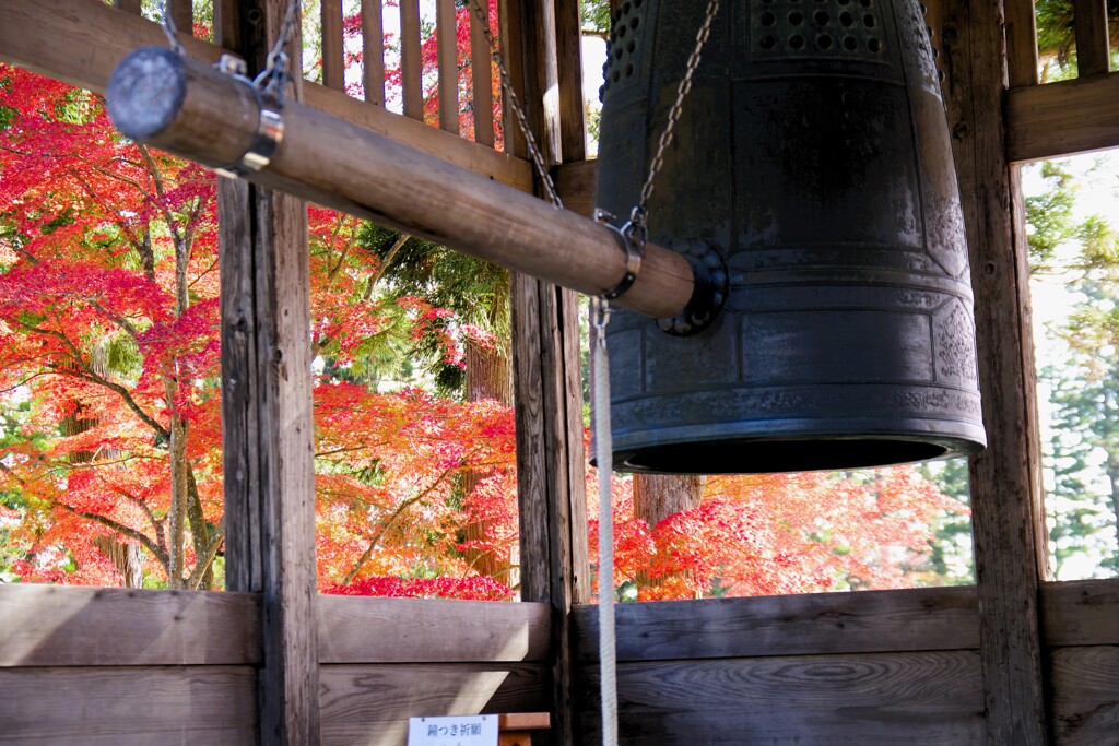 紅色の響き