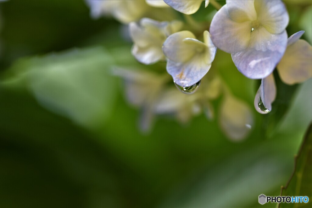 通り雨・・